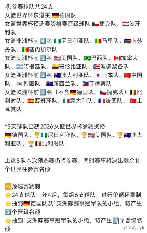 2026世界杯投注入口官网指南与详细分析